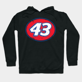 43 Hoodie